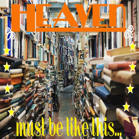 Meet your Posher, Chloe - Picture 3 of 7